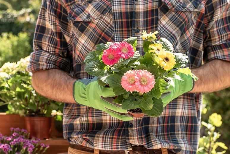 Gartenbauhelfer (m/w/d)mit Führerschein